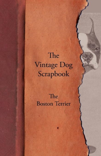 Vintage Dog Scrapbook - The Boston Terrier