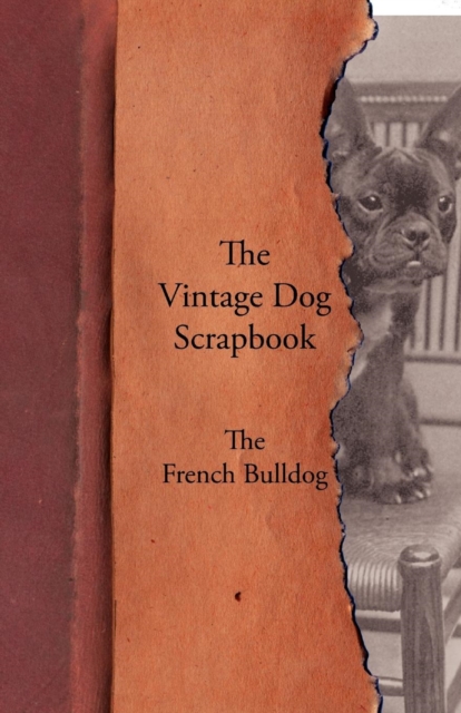 Vintage Dog Scrapbook - The French Bulldog