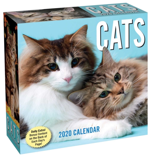 Cats 2020 Day-to-Day Calendar