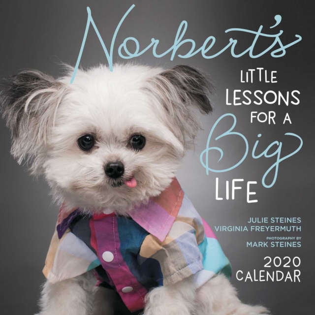 Norbert'S Little Lessons for a Big Life 2020 Square Wall Calendar