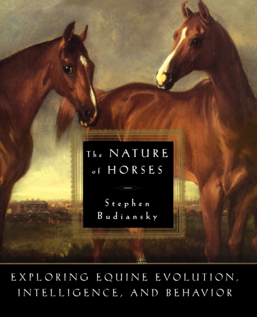 Nature of Horses