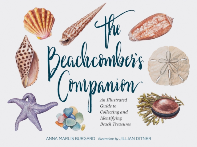 Beachcomber's Companion