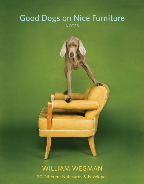 Good Dogs on Nice Furniture Notes