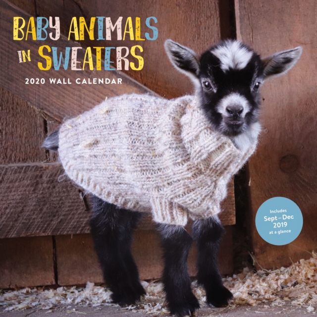 Baby Animals in Sweaters 2020 Wall Calendar