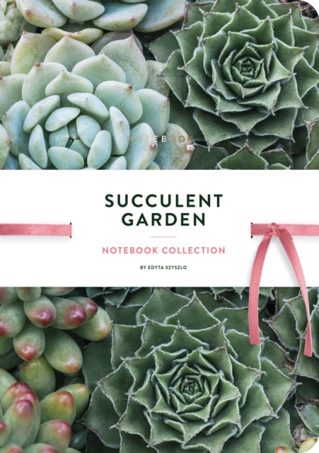 Succulent Garden