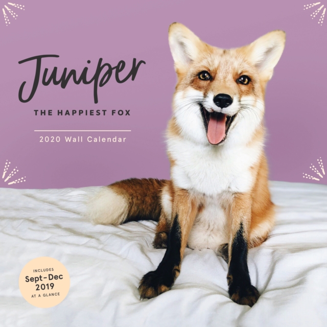 Juniper: The Happiest Fox 2020 Wall Calendar