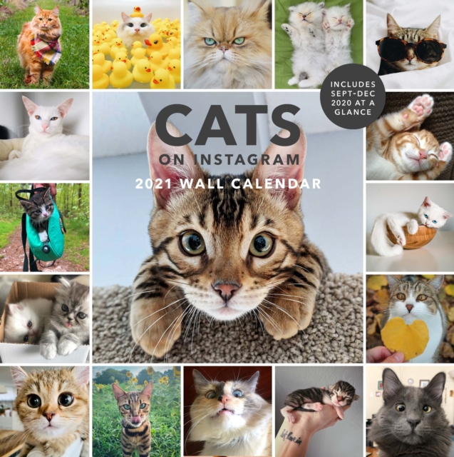 2021 Wall Calendar: Cats on Instagram