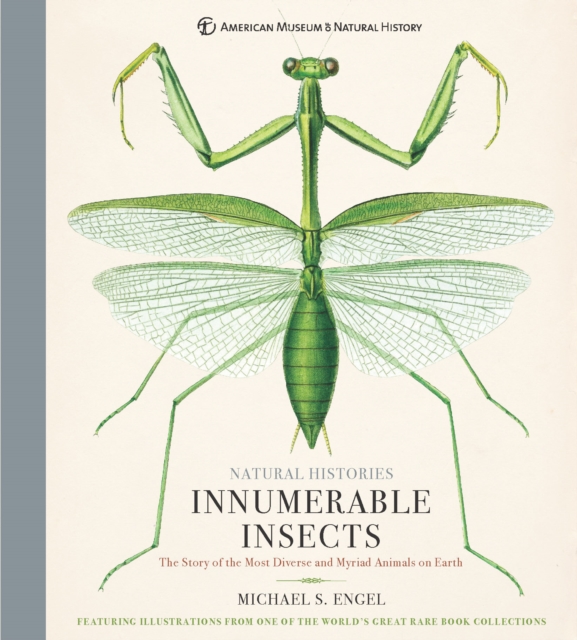 Innumerable Insects