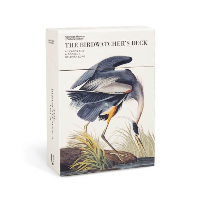Birdwatcher's Deck