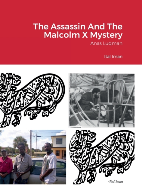 Assassin And The Malcolm X Mystery