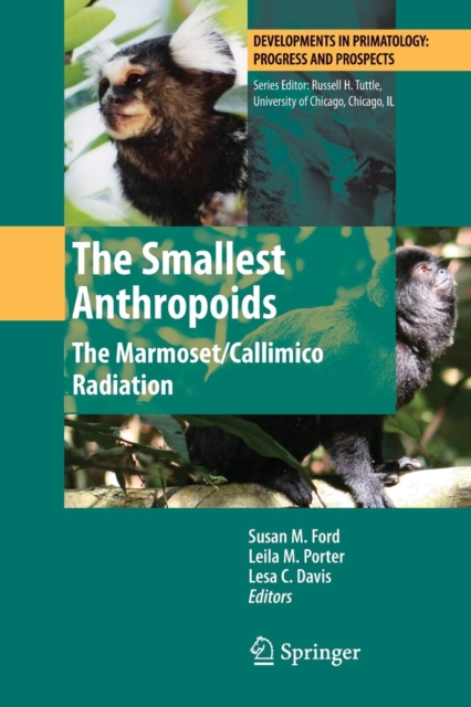 Smallest Anthropoids