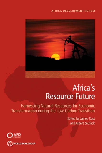 Africa's Resource Future