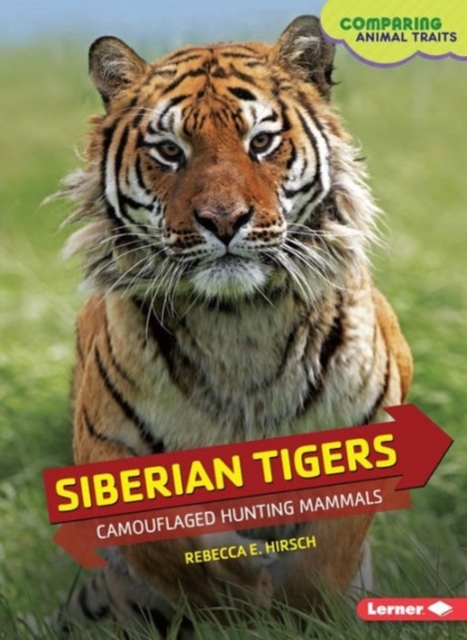 Siberian Tigers