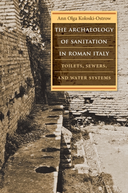 Archaeology of Sanitation in Roman Italy