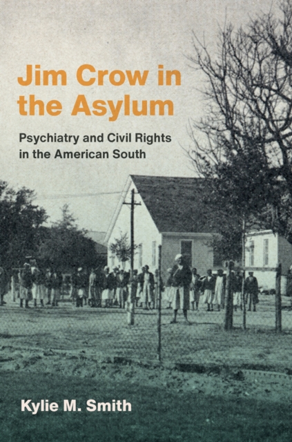 Jim Crow in the Asylum