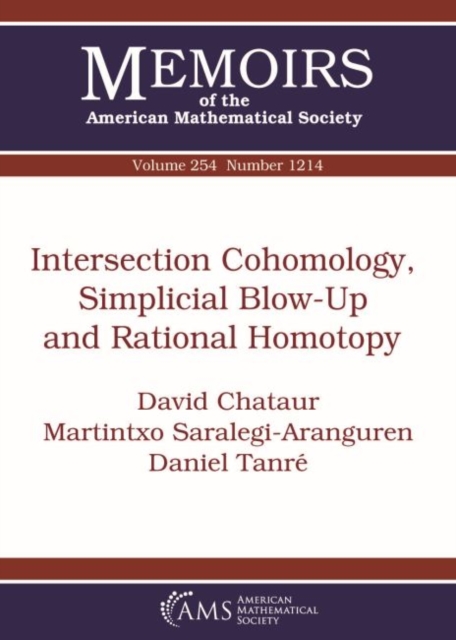 Intersection Cohomology, Simplicial Blow-Up and Rational Homotopy