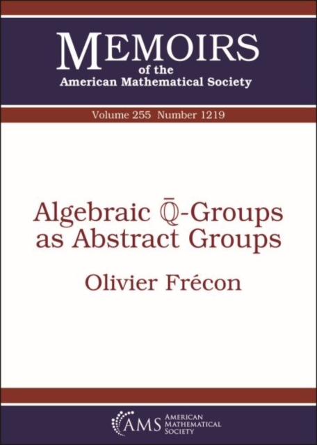 Algebraic $overline {mathbb {Q}}$-Groups as Abstract Groups