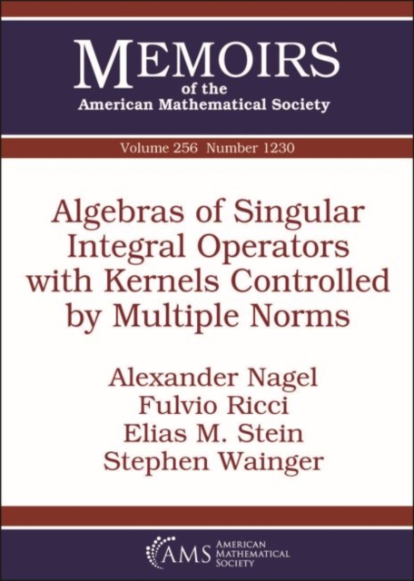 Algebras of Singular Integral Operators with Kernels Controlled by Multiple Norms