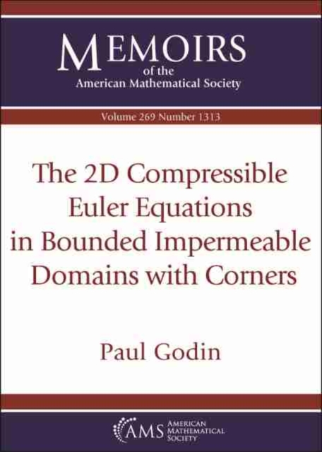 THE 2D COMPRESSIBLE EULER EQUATIONS IN B