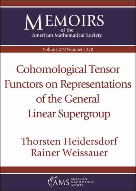 Cohomological Tensor Functors on Representations of the General Linear Supergroup