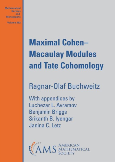 Maximal Cohen-Macaulay Modules and Tate Cohomology