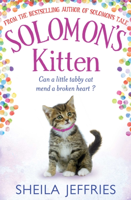 Solomon's Kitten