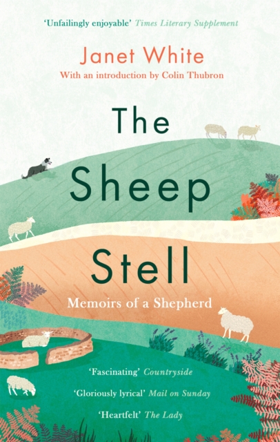 Sheep Stell