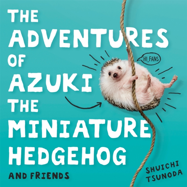 Adventures of Azuki the Miniature Hedgehog and Friends