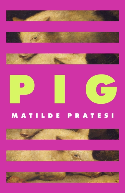 Pig