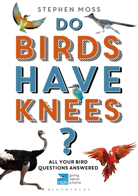 Do Birds Have Knees?
