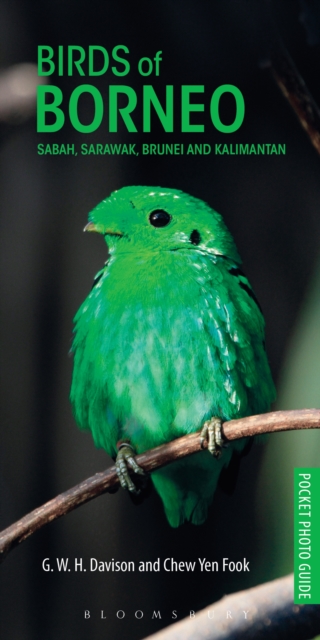 Birds of Borneo