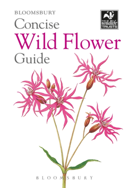 Concise Wild Flower Guide
