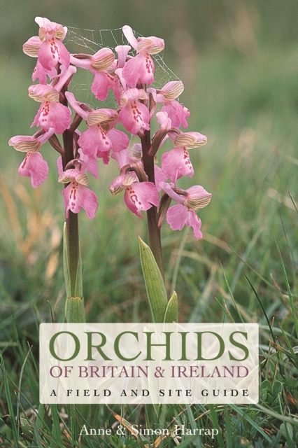 Orchids of Britain and Ireland