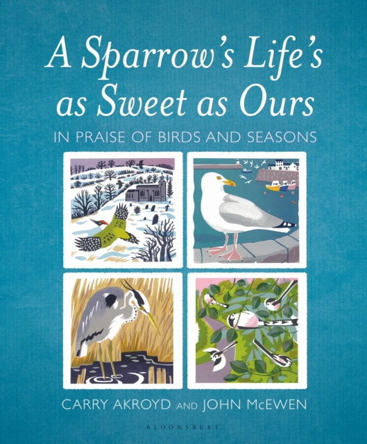 Sparrow's Life's as Sweet as Ours