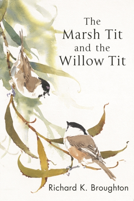 Marsh Tit and The Willow Tit