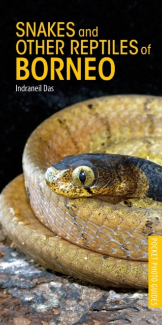 Snakes and Other Reptiles of Borneo