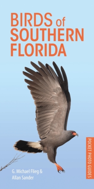 Birds of Southern Florida