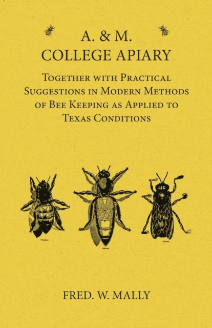 A. & M. College Apiary - Together with Practical Suggestions in Modern Methods of Bee Keeping as Applied to Texas Conditions