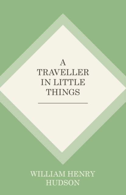 Traveller in Little Things