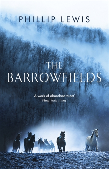 Barrowfields