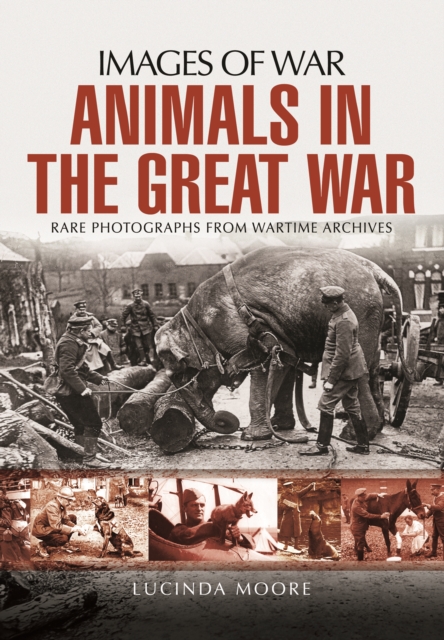 Animals in the Great War