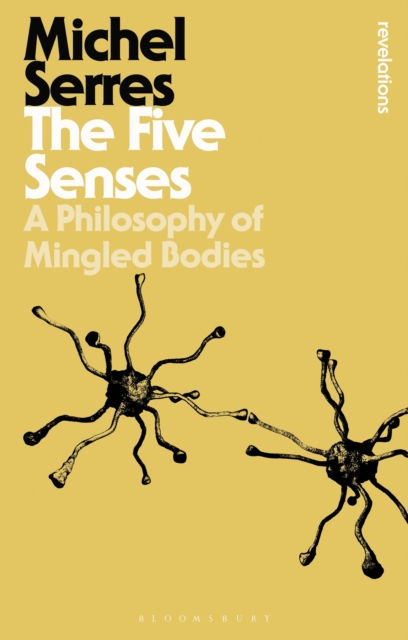 The Five Senses