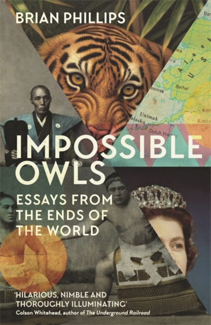 Impossible Owls