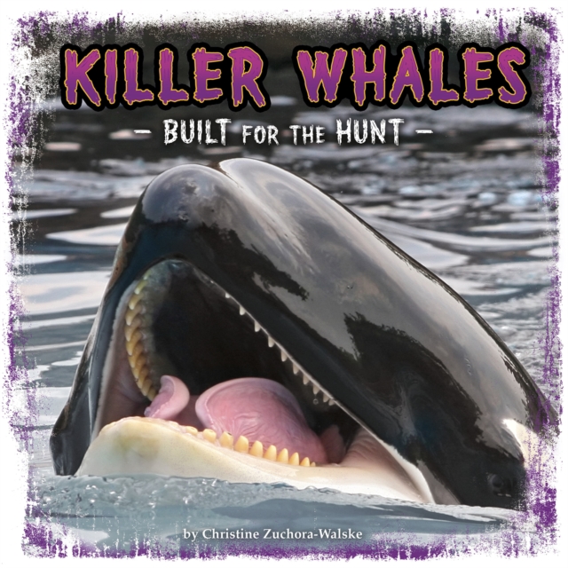 Killer Whales