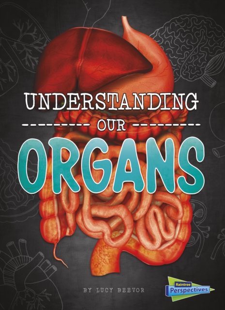 Understanding Our Organs