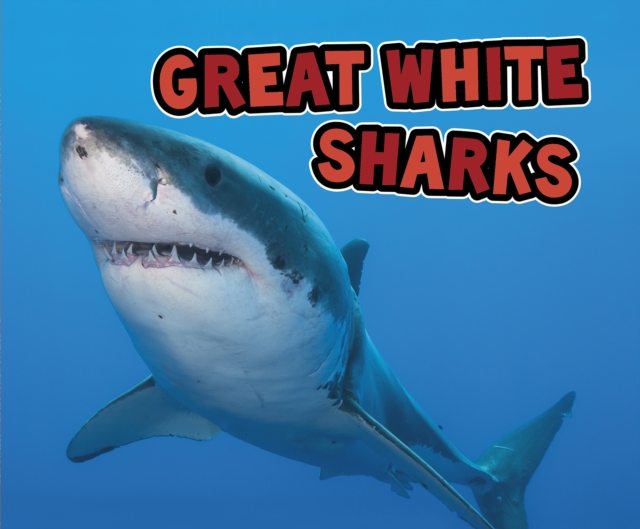 Great White Sharks