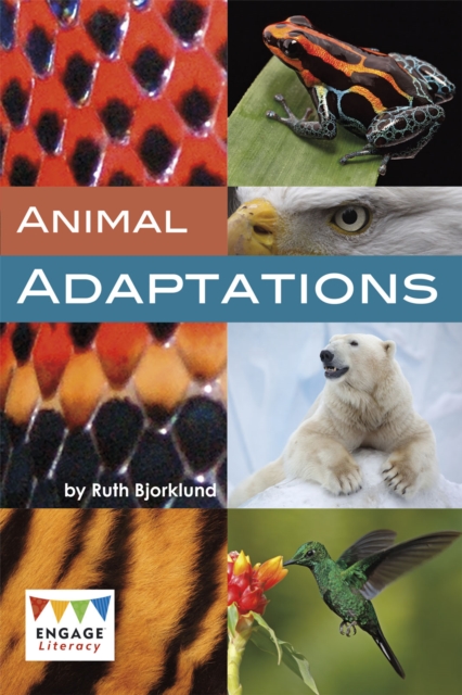 Animal Adaptations