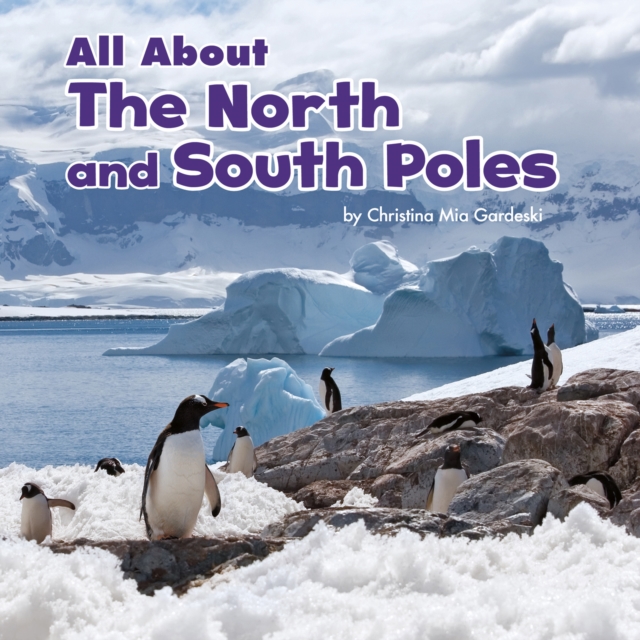 All About the North and South Poles