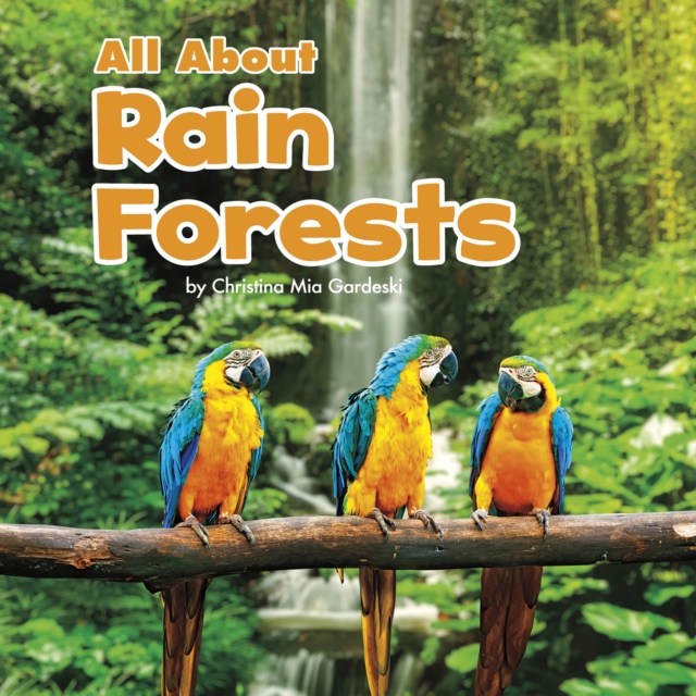 All About Rainforests