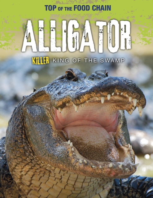 Alligator